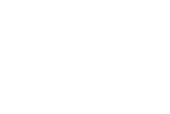 Saudi Vision 2030